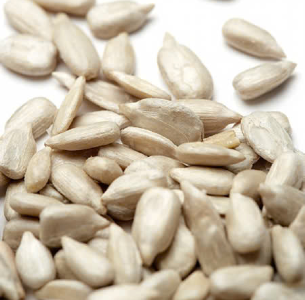 Nhân hạt hướng dương